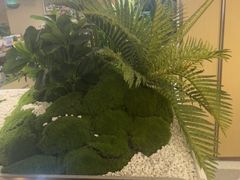 -海底捞火锅(旭辉MALL店)