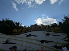 -西双版纳原始森林公园