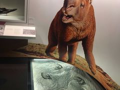 -墨尔本博物馆(Melbourne Museum)