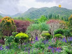 -深圳仙湖植物园