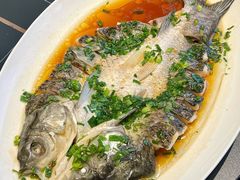 -全聚德(蓝山店)