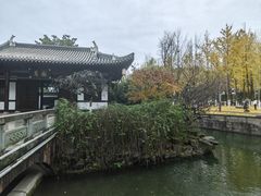 -月湖美术馆