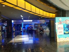 -万达影城(汉街万达广场IMAX店)