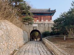 -云岗森林公园
