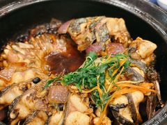 旱蒸毛骨鱼-金龙寨(龙城路店)
