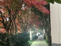 -上海市保健医疗中心