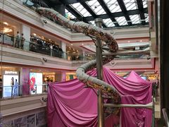 -巴黎春天(浦建店)