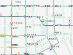 -西安乐游原
