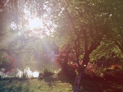 -西湖外事游船(花港观鱼码头)