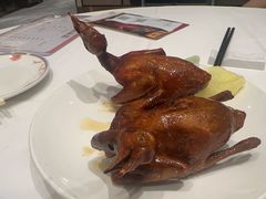 -稻香酒家·34年老字号·港式粤菜(侨光店)