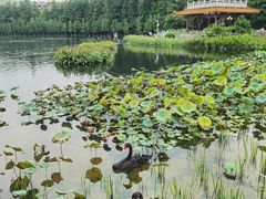 -东山湖公园