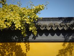 -西园戒幢律寺
