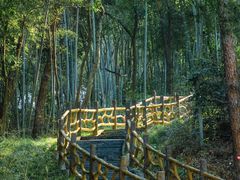 -青龙山国家森林公园