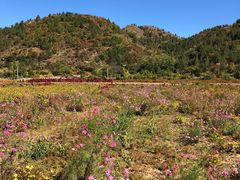 -蟠龙山长城景区