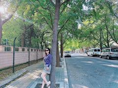 -三里屯东五街银杏大道