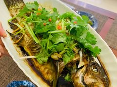 -鸿港海鲜批发市场