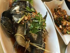 老虎斑-真浪花园海鲜餐馆