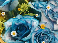 -花间烘焙BLossom Bakery