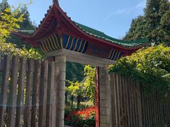 -庐山风景区花径公园