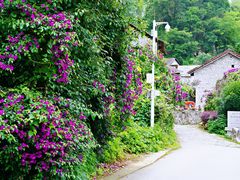 -高荡千年布依古寨旅游景区