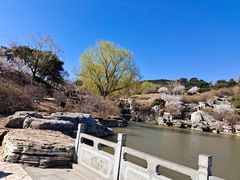 -北京西山国家森林公园