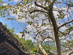-台州府城(东湖)