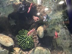 -苏州海洋馆