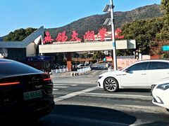 -无锡动物园·太湖欢乐园