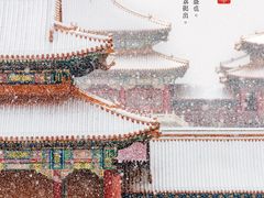 -故宫博物院(故宫)