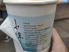 -茶颜悦色(登高路上店)