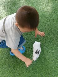 -萌宠亲子动物乐园(槐房万达店)