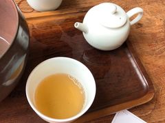 碳焙铁观音-去茶山