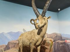 -陕西自然博物馆