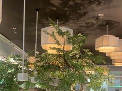 -绿茶餐厅(广州天河城店)