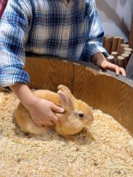 -Zoolung Zoolung动物主题公园(海信广场店)