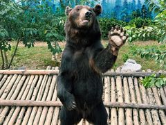 -济南野生动物世界