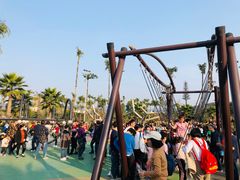 -枫香湖儿童公园