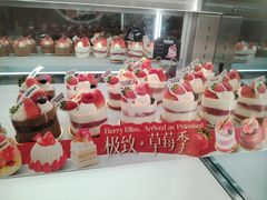 -极致味道动物奶油生日蛋糕(时尚店)