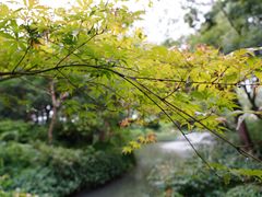 -上海醉白池公园