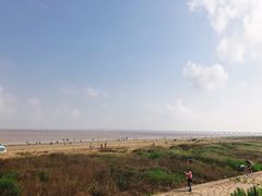 -南汇嘴观海公园