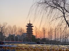 -洋湖国家湿地公园