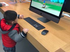 -Apple 零售店(Canton Road)