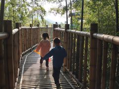 -陶祖圣境风景区