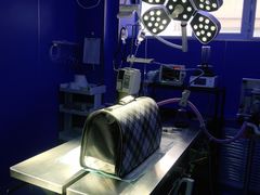 -天时宠物医院24小时疑难病例会诊中心(顾乡大街总院)