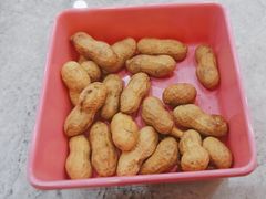 -紫藤园·天目湖大鱼头(南山竹海店)