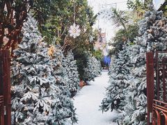 -The Grounds of Alexandria
