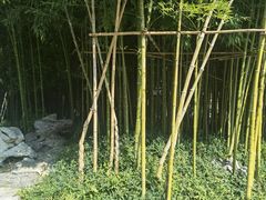 -个园