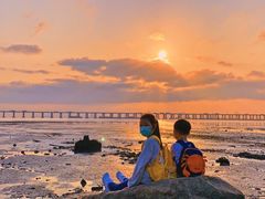 -宝安西湾红树林湿地公园