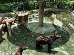 -深圳野生动物园