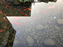 -活水公园